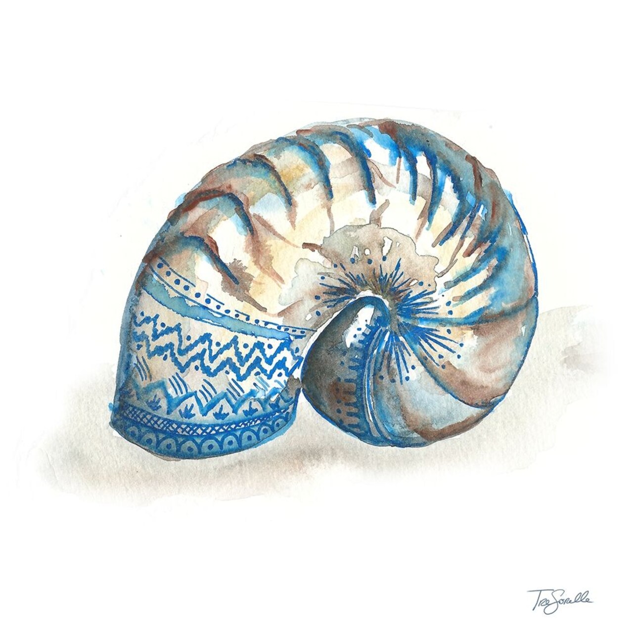 Bohemian Shells IV Poster Print by Tre Sorelle Studios - Item # VARPDXRB12705TS